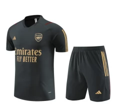 Arsenal Tute Maglia da Allenamento 2023/24 - Grigio