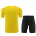 Bambino BV Borussia 09 Dortmund Tute Maglia da Allenamento 2023/24 - Shorts Yelow