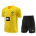 BV Borussia 09 Dortmund Tute Maglia da Allenamento 2023/24 - Yelow