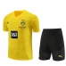 BV Borussia 09 Dortmund Tute Maglia da Allenamento 2023/24 - Yelow BV Borussia 09 Dortmund Tute Maglia da Allenamento 2023/24 - Yelow
