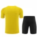 BV Borussia 09 Dortmund Tute Maglia da Allenamento 2023/24 - Yelow