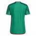 Coppa del mondo 2022 Maglia Messico Divisa Prima