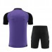 Germania Tute Maglia da Allenamento Bambino 2024/25 - Shorts Viola