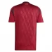 Maglia Belgio Divisa Prima Euro 2024