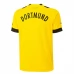 Maglia Borussia Dortmund Divisa Prima 2022/23
