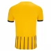 Maglia Brighton Hove Albion FC Divisa Terza 2025/26
