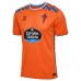Maglia Celta de Vigo Divisa Terza 2024/25