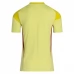 Maglia Celtic FC Portiere Divisa Prima 2025/26