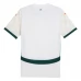 Maglia Costa d'Avorio Divisa Trasferta 2025