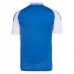 Maglia Cruzeiro EC Divisa Prima 2025/26