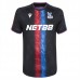 Maglia Crystal Palace Divisa Terza 2024/25