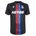 Maglia Crystal Palace Divisa Terza 2024/25