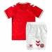 Maglia Danimarca Bambino Divisa Prima Euro 2024