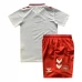 Maglia Danimarca Bambino Divisa Trasferta Euro 2024