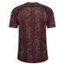 Maglia Danimarca Divisa Prima Special Edition 2025