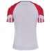Maglia Danimarca Divisa Trasferta 2023