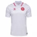 Maglia Danimarca Divisa Trasferta Euro 2024