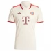 Maglia FC Bayern München Divisa Terza 2024/25