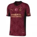 Maglia Galatasaray SK Divisa Terza 2025/26
