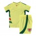 Maglia Galles Bambino Divisa Trasferta 2024