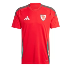 Maglia Galles Divisa Prima 2024