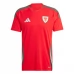 Maglia Galles Divisa Prima 2024