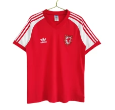 Maglia Galles Divisa Prima Retro 1982