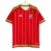 Maglia Galles Divisa Prima Retro 2015