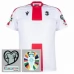 Maglia Georgia Divisa Prima Euro 2024 Patch