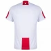 Maglia Georgia Divisa Prima Euro 2024 Patch
