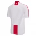 Maglia Georgia Divisa Prima Euro 2024