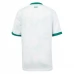 Maglia Irlanda Divisa Trasferta 2025/26