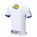 Maglia Kashima Antlers Divisa Trasferta 2023/24
