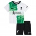 Maglia Liverpool Bambino Divisa Trasferta 2023/24