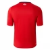 Maglia LOSC Lille Divisa Prima 2024/25