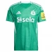 Maglia Newcastle United FC Gordon 10 Kit Gara Away 2025/26