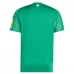 Maglia Newcastle United FC Divisa Trasferta 2025/26