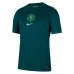 Maglia Nigeria Divisa Prima 2025/26