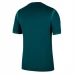 Maglia Nigeria Divisa Prima 2025/26
