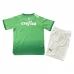 Maglia Palmeiras Bambino Divisa Prima Special Edition Green 2024/25