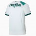 Maglia Palmeiras Divisa Trasferta 2023/24