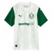Maglia Palmeiras Divisa Trasferta 2025/26