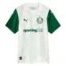 Maglia Palmeiras Divisa Trasferta 2025/26