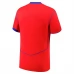 Maglia Paris Saint Germain Divisa Terza 2025/26