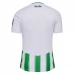 Maglia Real Betis Divisa Prima 2023/24