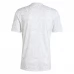 Maglia Real Madrid Divisa Prima Pre-Match 2024/25