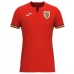 Maglia Romania Divisa Trasferta Euro 2024