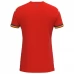 Maglia Romania Divisa Trasferta Euro 2024