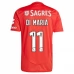 Maglia SL Benfica Di Maria 11 Divisa Prima 2024/25