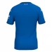 Maglia TSG 1899 Hoffenheim Divisa Prima 2024/25